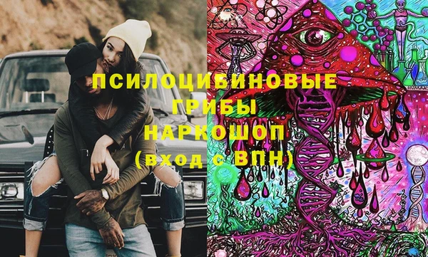 СК Бежецк