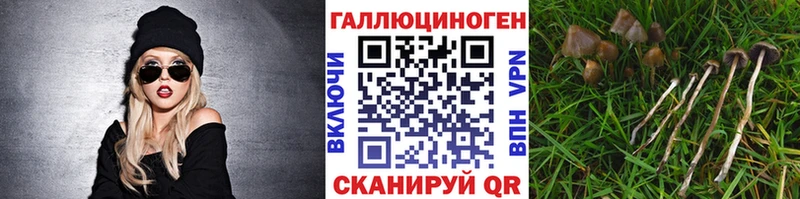 Галлюциногенные грибы Cubensis  купить  сайты  Тамбов 