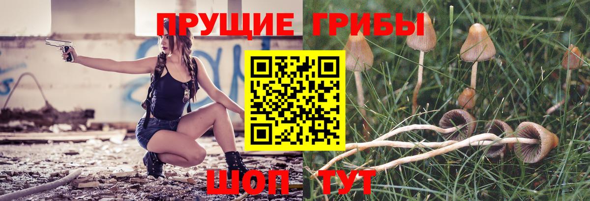 Псилоцибиновые грибы мицелий Тамбов
