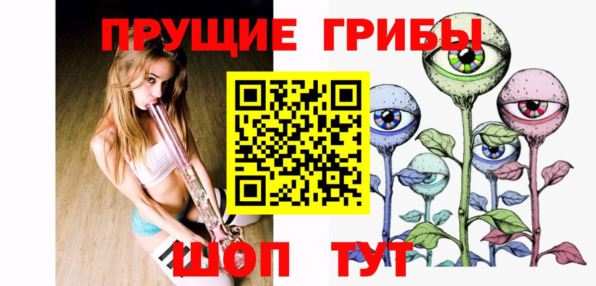 Псилоцибиновые грибы мицелий  Вход с VPN  Тамбов  Галлюциногенные грибы GOLDEN TEACHER 